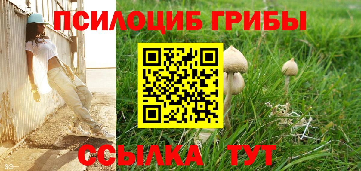 Псилоцибиновые грибы мухоморы Усинск