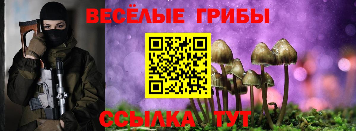Псилоцибиновые грибы GOLDEN TEACHER  Вход с VPN  купить закладку  Усинск 